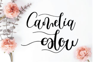Camelia Glow: A Font That Shines