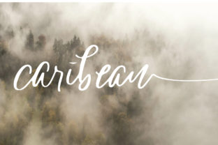 Caribean: A Script Font for Elegant Design