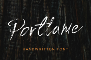 Portlame: A Script Font for Creative Campaigns