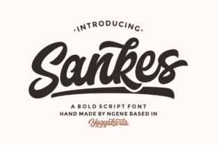 Sankes: A Fun Script Font