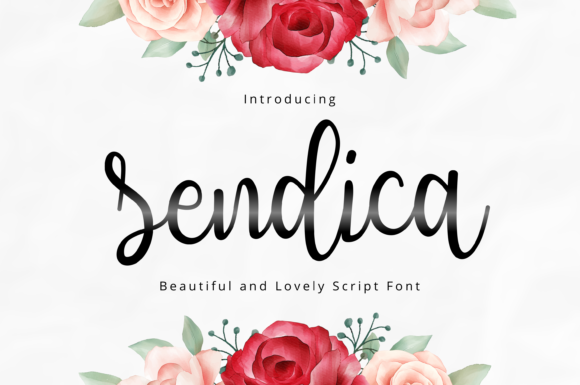 Sendica: A Playful Script Font